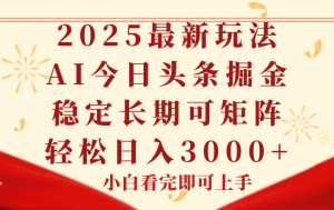 今日头条2025年最新玩法，思路简单，复制粘贴，稳定长期，轻松实现矩…-黑斯坦丁项目网