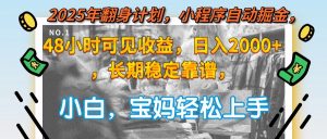 2025年翻身计划，小程序自动掘金48小时可见收益，日入2000+，长期稳定…-黑斯坦丁项目网