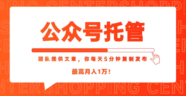 【公众号托管 】我提供文章，你每天５分钟复制发布，最高月入1W-黑斯坦丁项目网