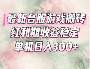 最新台服游戏搬砖，红利期收益高稳定，操作简单，小白闭眼入。-黑斯坦丁项目网