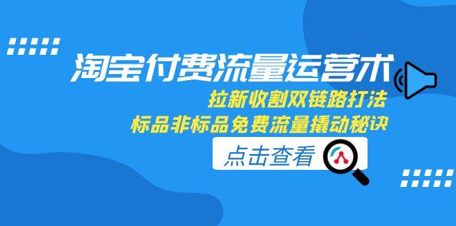 淘宝付费流量运营术，拉新收割双链路打法，标品非标品免费流量撬动秘诀-黑斯坦丁项目网