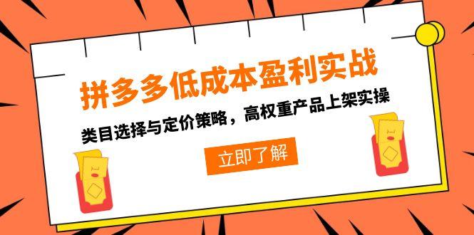 拼多多低成本盈利实战，类目选择与定价策略，高权重产品上架实操-黑斯坦丁项目网