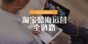 淘宝蓝海运营全链路，从选品到流量变现，小类目突围完整方案-黑斯坦丁项目网