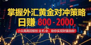 掌握外汇黄金对冲策略，日赚 800 – 2000，小众高回报创业机会，助你实…-黑斯坦丁项目网