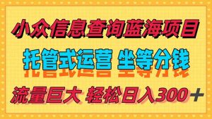 稳定日入300+,小众信息查询蓝海项目,全程懒人式托管,解放你的时间-黑斯坦丁项目网