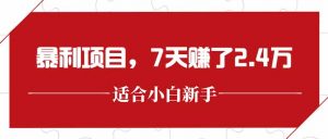 最新暴利项目，每单收益轻松在300以上，7天赚了2.4万-黑斯坦丁项目网