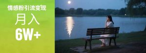 情感粉引流变现实操课：单月变现6w+，情感粉引流变现实操课-黑斯坦丁项目网
