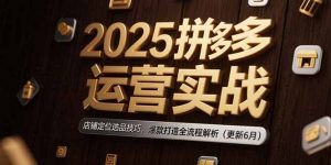 2025拼多多运营实战：店铺定位选品技巧，爆款打造全流程解析(更新6月-黑斯坦丁项目网