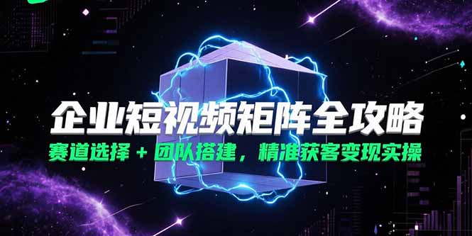 企业短视频矩阵全攻略，赛道选择+团队搭建，精准获客变现实操-黑斯坦丁项目网