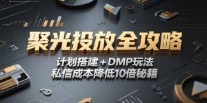2025小红书聚光投放全攻略，计划搭建+DMP玩法，私信成本降低10倍秘籍-黑斯坦丁项目网