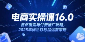 淘宝电商运营课16.0，自然搜索与付费推广攻略，2025年标品非标品运营策略-黑斯坦丁项目网
