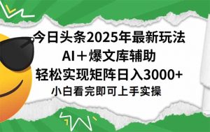 今日头条2025年最新玩法，一键生成爆款，轻松实现矩阵日入3000+-黑斯坦丁项目网
