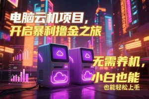 电脑云机项目 暴力撸金玩法，不需要养机 配置没有要求 单机100个窗口一…-黑斯坦丁项目网