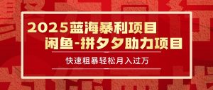 2025 最新闲鱼蓝海暴利项目 快速粗暴单号日入1000+，保姆级教程-黑斯坦丁项目网