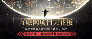 2025“互联网项目天花板”：不做韭菜，做镰刀！“月入 10W+ 普通人弯道…-黑斯坦丁项目网