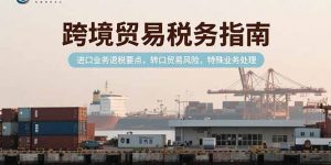 跨境贸易税务指南，进口业务退税要点，转口贸易风险，特殊业务处理-黑斯坦丁项目网