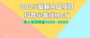 DY小游戏MCN广告2025最新打法单人单日收益1500-2000背靠大平台新手小白…-黑斯坦丁项目网