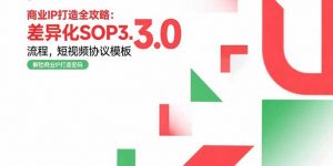 商业IP打造全攻略：差异化SOP3.0流程，短视频协议模板，婚恋项目实战案例-黑斯坦丁项目网