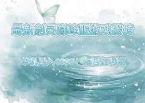 最新剑灵巅峰服游戏搬砖，项目红利期，单机稳定4000+操作简单好上手-黑斯坦丁项目网