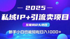 2025网创尽头项目，私域IP+引流，新手小白也能在家日入1000+-黑斯坦丁项目网