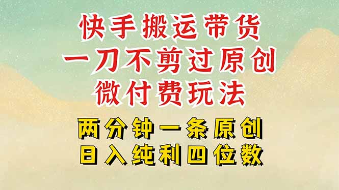 快手黑科技搬运带货，一刀不剪过原创，微付费投流玩法，轻松日入四位数…-黑斯坦丁项目网