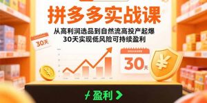 拼多多实战课:从高利润选品到自然流高投产起爆 30天实现低风险可持续盈利-黑斯坦丁项目网