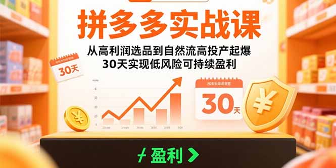 拼多多实战课：从高利润选品到自然流高投产起爆 30天实现低风险可持续盈利-黑斯坦丁项目网