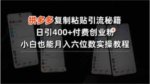拼多多复制粘贴引流秘籍，日引400+付费创业粉，小白也能月入六位数实操…-黑斯坦丁项目网