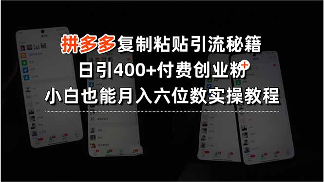 拼多多复制粘贴引流秘籍，日引400+付费创业粉，小白也能月入六位数实操…-黑斯坦丁项目网