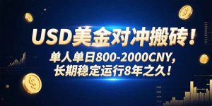 USD美金对冲搬砖!单人单日800-2000CNY，长期稳定运行8年之久!-黑斯坦丁项目网