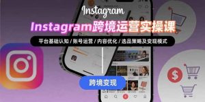 Instagram跨境运营实战：平台认知/账号运营/内容优化/选品策略及变现模式-黑斯坦丁项目网