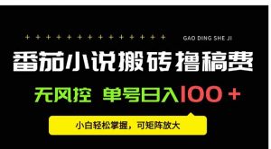 番茄小说创作人搬砖赚稿费，无风控单号日入100＋，小白轻松掌握，可矩…-黑斯坦丁项目网