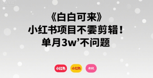小白可来 小红书项目不需要剪辑 单月3w不是问题-黑斯坦丁项目网