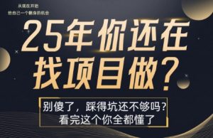 25年，你还在疯狂的找项目吗？别傻了，看完这个你都懂了【揭秘】-黑斯坦丁项目网