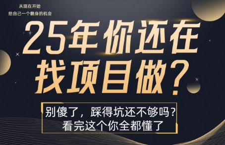 25年，你还在疯狂的找项目吗？别傻了，看完这个你都懂了【揭秘】-黑斯坦丁项目网