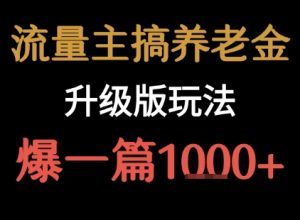 流量主之养老金升级版玩法 爆一篇收益1k+-黑斯坦丁项目网