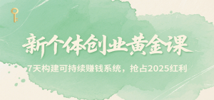 新个体创业黄金课，7天构建可持续赚钱系统，抢占2025红利-黑斯坦丁项目网