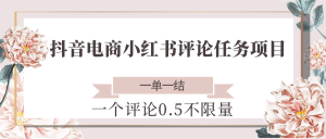 抖音电商小红书评论任务项目，一个评论0.5，一单一结 不限量-黑斯坦丁项目网