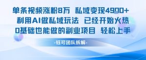 单条视频私域变现4.9k+利用AI做私域玩法 已经开始火热0基础也能做的副业项目轻松上手-黑斯坦丁项目网