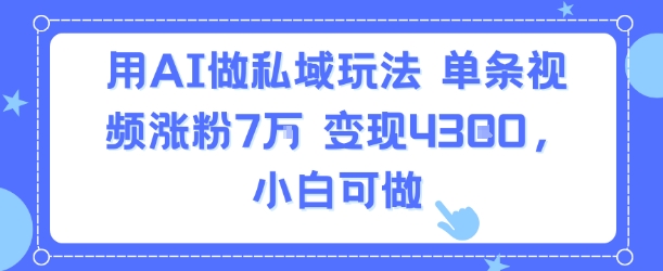 用AI做私域玩法，单条视频涨粉7W变现4.3k，小白可做-黑斯坦丁项目网