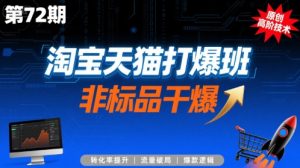 淘宝天猫打爆班原创高阶技术第72期，非标品干爆-黑斯坦丁项目网