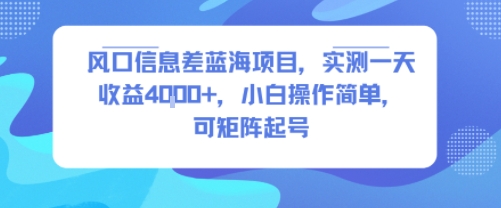 风口信息差蓝海项目，实测一天收益4k+，小白操作简单，可矩阵起号-黑斯坦丁项目网