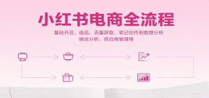 小红书电商全流程，基础开店、选品、流量获取、笔记创作到数据分析、供应商管理等-黑斯坦丁项目网