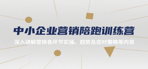 中小企业营销陪跑训练营，深入讲解营销各环节实操、趋势及应对策略等内容-黑斯坦丁项目网