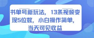 书单号新玩法，13条视频变现5位数，小白操作简单，当天可见收益-黑斯坦丁项目网