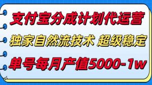 支付宝分成计划代运营，独家自然流技术，收益稳定，单号月产5000＋-黑斯坦丁项目网