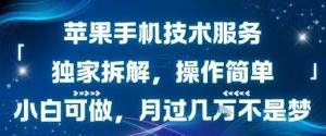 苹果手机技术服务，独家拆解，操作简单，小白可做，月过1W不是梦-黑斯坦丁项目网