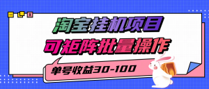 揭秘2025最新淘宝挂机项目，单号30-100，可矩阵批量操作(附工具)-黑斯坦丁项目网