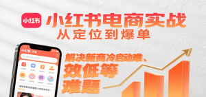 小红书电商实战，从定位到爆单解决新商冷启动难、变现效率低等难题-黑斯坦丁项目网