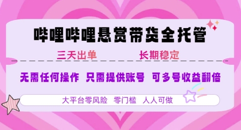 2025年B站风口带货项目 仅需提供账号 全程托管 轻松月入1w+-黑斯坦丁项目网